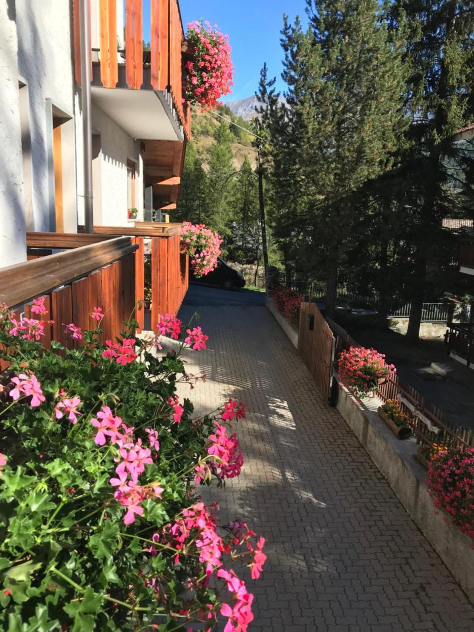 Hotel La Nigritella Bardonecchia Exterior foto
